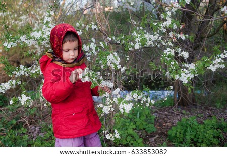 The little girl near a tree with white colors. The little girl in a red jacket and with a scarf on the head