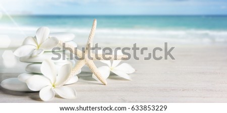 Stones with flowers, Summer background
