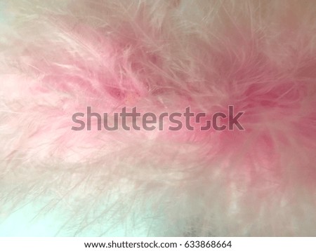 Blurred soft pink feathers background texture