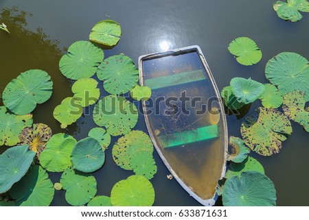 The boat and lotus with shadow in the pond