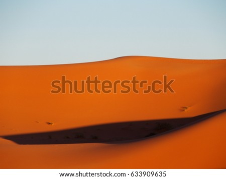 Peak of ERG CHEBBI dunes near MERZOUGA with landscape of sandy desert formations in southeastern MOROCCO near border with ALGIERIA, clear blue sky in 2017 warm sunny winter day, AFRICA on FEBRUARY.