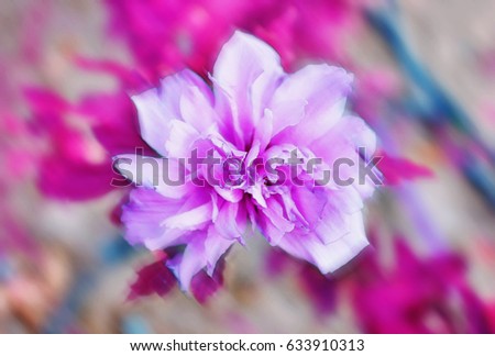 abstract purple flower with big petals - bokeh background