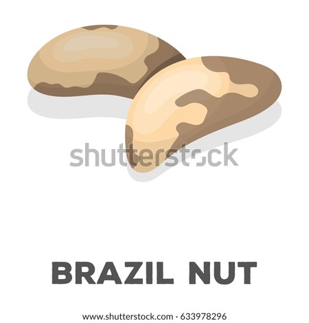 Brazil nuts.Different kinds of nuts single icon in cartoon style rater,bitmap symbol stock illustration.