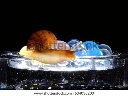 Glowing Snail