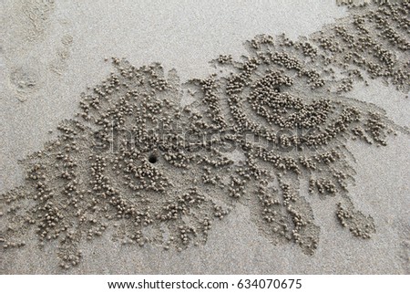 Travel to island Koh Lanta, Thailand. The traces of the crabs on the sand beach.