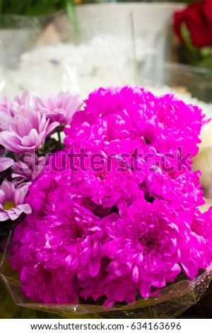 Photo of a bouquet of chrysanthemums. A popular plant of the daisy family, having brightly colored ornamental flowers and existing in many cultivated varieties.
