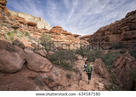 Group of Hikers backpacking through the Grand Canyon to Havasu Falls, Arizona Royalty-Free Stock Photo #634187180