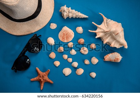 Bright blue picture with large and small shells, starfish, light hat and sunglasses