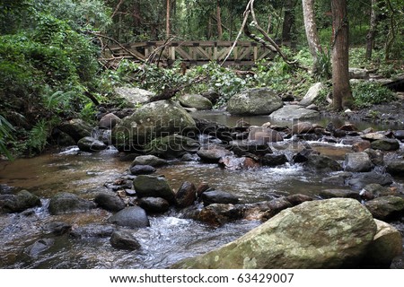 river at nature with green forest