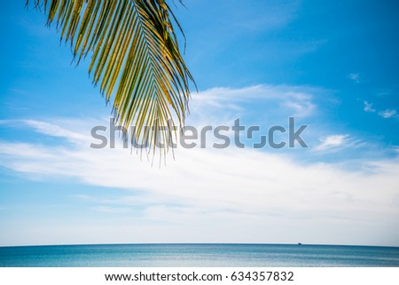 Coconut leaf on beautiful tropical island beach Koh Mak, Trat Thailand - Summer holiday concept