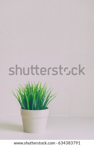 green grass in white pot