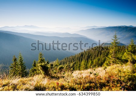 Great hills and picturesque scene of the alpine valley. Location place Carpathian, Ukraine, Europe. Wonderful summertime wallpaper. Awesome outdoor vacation. Explore the world's beauty and wildlife.