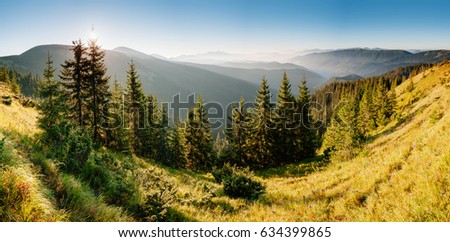 Bright hills and picturesque scene of the alpine valley. Location place Carpathian, Ukraine, Europe. Wonderful summertime wallpaper. Sunny day on outdoor . Explore the world's beauty and wildlife.
