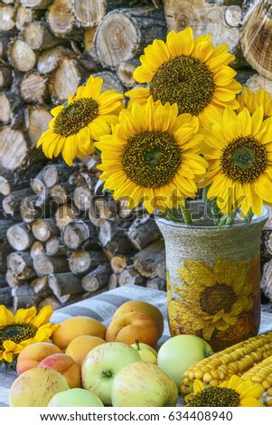 Autumn still life with sunflowers in vase, red leaves of maple, apples, corn, apricots on background of woodpile. Rural style