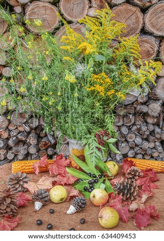Autumn still life with sunflowers in vase, red leaves of maple, apples, hedgehogs and pine cones on the background of woodpile. Rural style