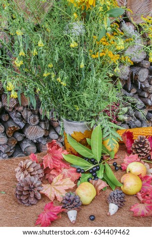 Autumn still life with wildflowers in vase, red leaves of maple, apples, corn, hedgehogs and pine cones on the background of woodpile. Rural style