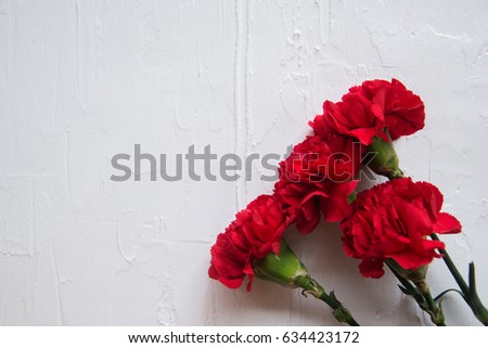 background, card, Wallpaper for the holiday victory Day may 9: carnations and St. George ribbon. Suitable for your label, design, design..