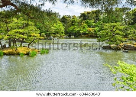 Garden and pond