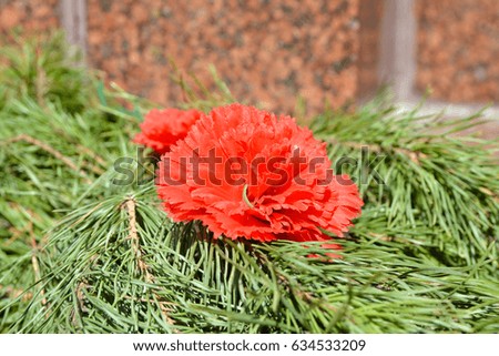 Artificial flower red carnations on spruce branches