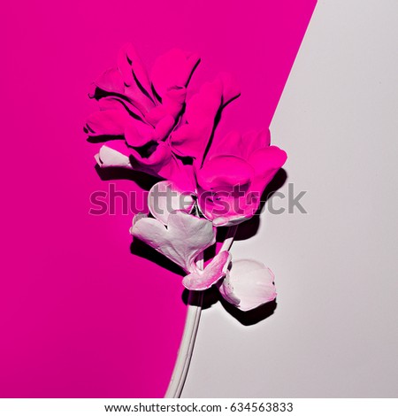 Flower in paint. Art design Minimal Creative Surreal