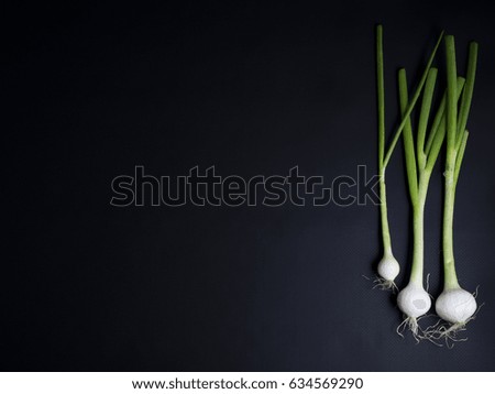 Fresh green and white spring onions with roots isolated on black background