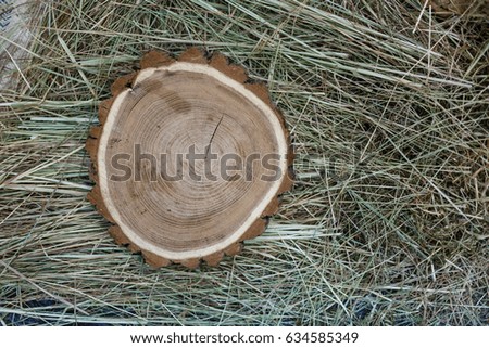 Closeup photo of tree trunks lying on hay Wooden saws Cross section of the tree