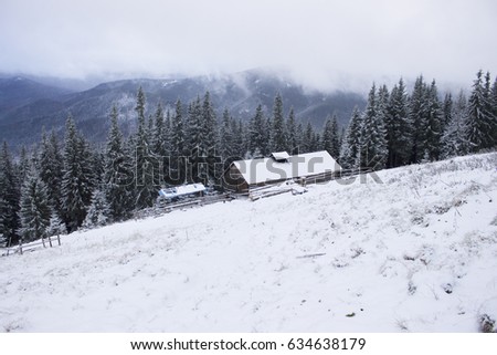 A house among the Carpathian Mountains. Winter
