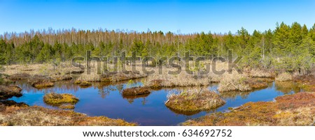 Sulfur ponds located in the Kemeri National Park west of the city of Jurmala,Latvia.