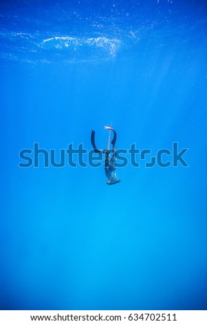 Free diving in Hawaii