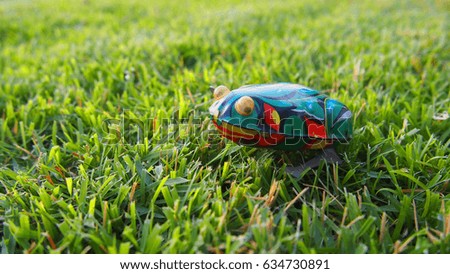  freedom toy frog on grass