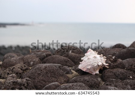 Conch and Sea / Scenery Picture of Jeju Island, Korea