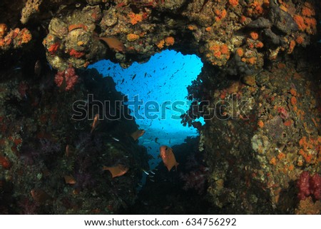 Underwater swimthrough cave 