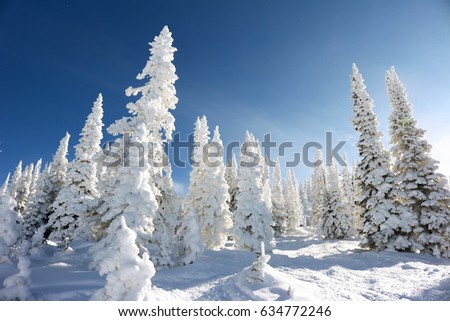 Steamboat Springs, Colorado Royalty-Free Stock Photo #634772246