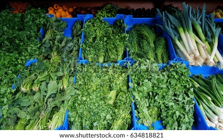 The bunch of variety vegetables in the market in blue basket