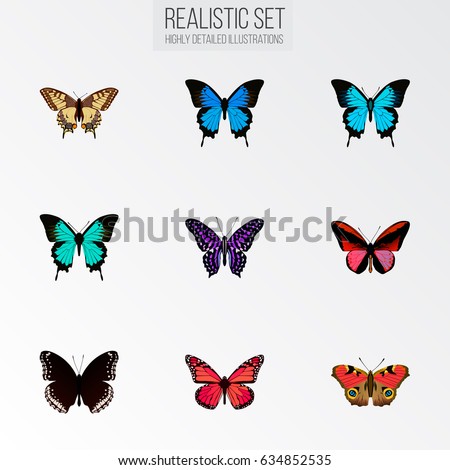 Realistic Polyommatus Icarus, Callicore Cynosura, Common Blue And Other Vector Elements. Set Of Moth Realistic Symbols Also Includes Brown, Cynosura, Butterfly Objects.