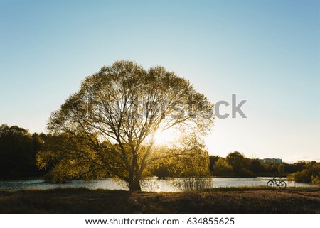 bike sunset sun lake tree landscape