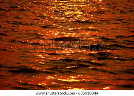 Sunset & Seagull on the sea, Thailand