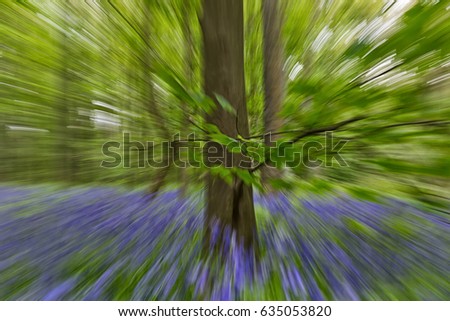 Burst zoom of Abstract forest background in green and purple tones