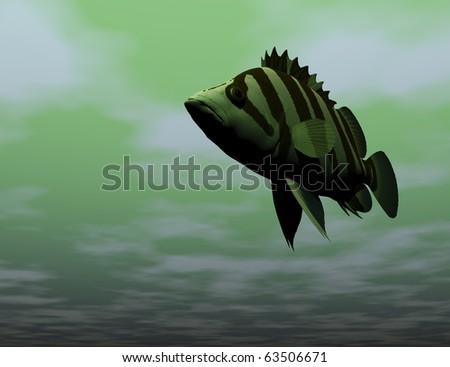 Digital visualization of fish