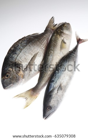 three fishes isolated on white 