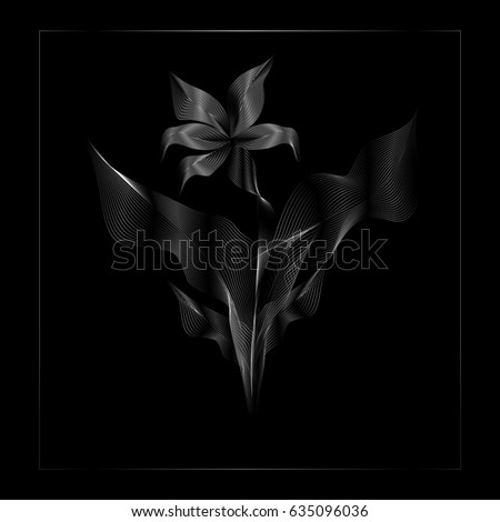 Flower on black background