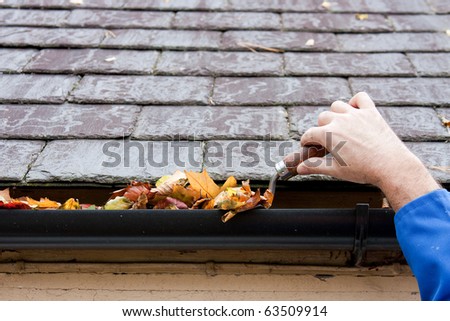 Working Hands Clearing Autumn Leaves from Gutter with Trowel Royalty-Free Stock Photo #63509914