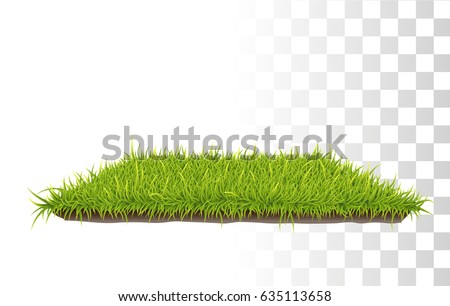 Vector Photo Realistic Rectangle Carpet Of Green Fresh Grass. 
