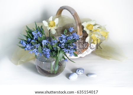 Still life with spring flowers. Snowdrops and daffodils.