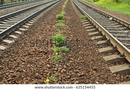 Yellow dandelion growing among stones, between railway tracks

