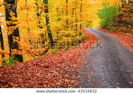 Country road in autumn landscape