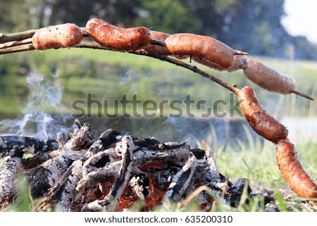 Toasted sausage on stick on camp fire. Picnic near the forest on a sunny day.