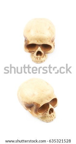 Human skull resin replica as a halloween decoration, isolated over the white background, set of two different foreshortenings