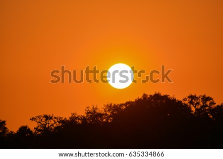 Sunset over Little Bayou on Tampa Bay, Saint Petersburg, Pinellas County, Florida USA