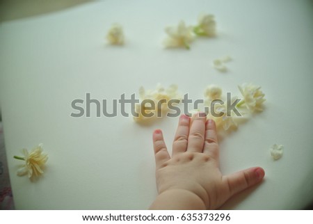 little hand of little baby play with white flowers jasmine
